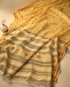 Vasudha – Mercerized Cotton Bhujodi Saree