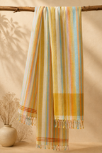 Rang Rekha - Linen Saree