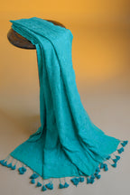 Neerja – Mul Cotton Chikankari Saree