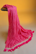 Pankhuri – Mul Cotton Chikankari Saree