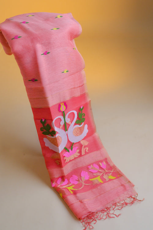 Aboli Hansini - Cotton Silk Saree